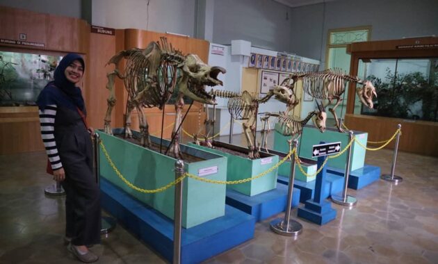 Bogor museum zoologi Museum Zoologi