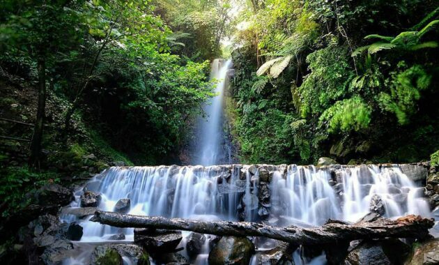 10 Gambar Curug Seribu Bogor 2021 Tiket Masuk Misteri Angker Air Terjun Menelan Korban Jawa Barat Jejakpiknik Com