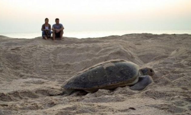 10 Gambar Pulau Maspari Palembang, Lokasi Peta + Wisata 