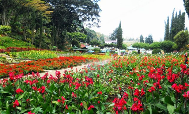 10 Gambar Taman Bunga Cihideung Cimahi, Harga Tiket Masuk, Rute Jalan  Menuju Lokasi + Jam Buka | JejakPiknik.Com