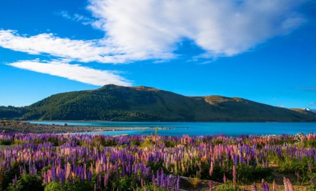5 Paket Wisata New Zealand 14 Juta 2021 Harga Murah Tour