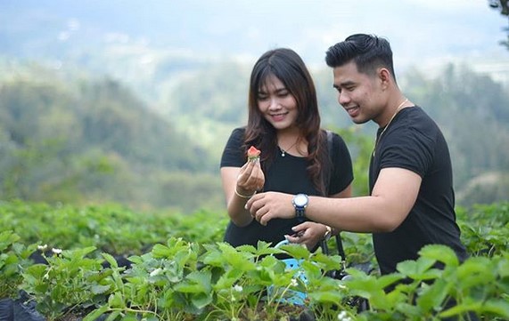 Tiket Masuk Taman Wisata Kopeng Semarang Jawa Tengah, Lokasi Jalan Raya