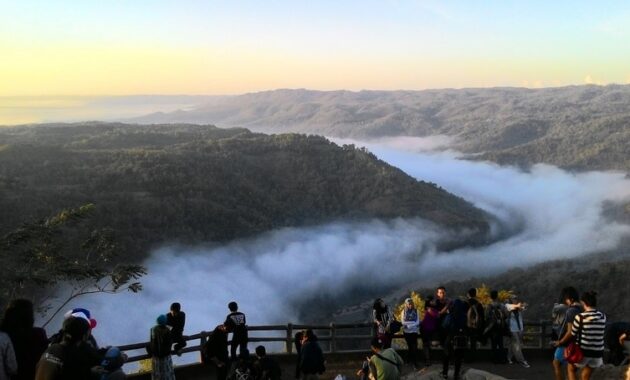 8 Keseruan Berlibur di Kebun Buah Mangunan Jogja, Kebun di Atas Awan
