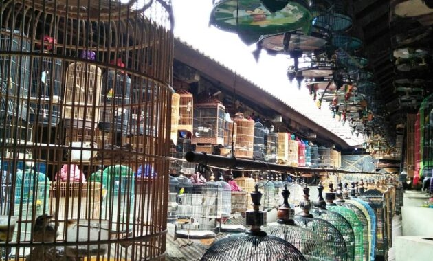 Pasar Burung Pramuka Jakarta Timur Alamat Lokasi Harga Tutup Jam Berapa Jejakpiknik Com